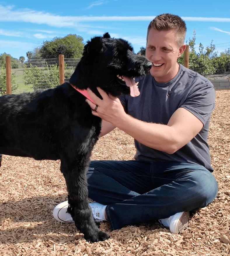 Giant Schnauzer’s Reaction to Seeing the Vet Tech Who Saved Her Life Months Before Is Pure Joy